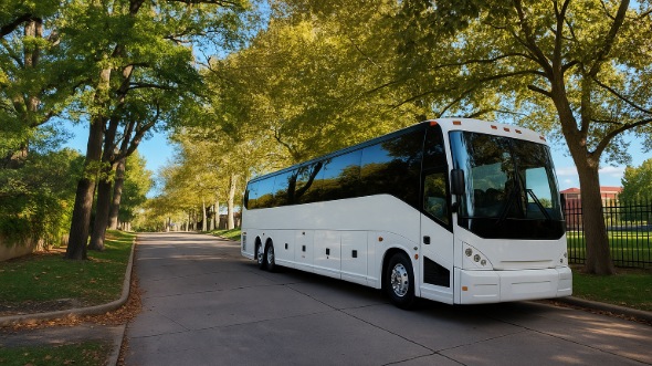 amarillo bachelor and bachelorette charter bus rental